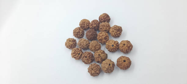 How to check original rudraksha in water through natural means how to check original rudraksha in water