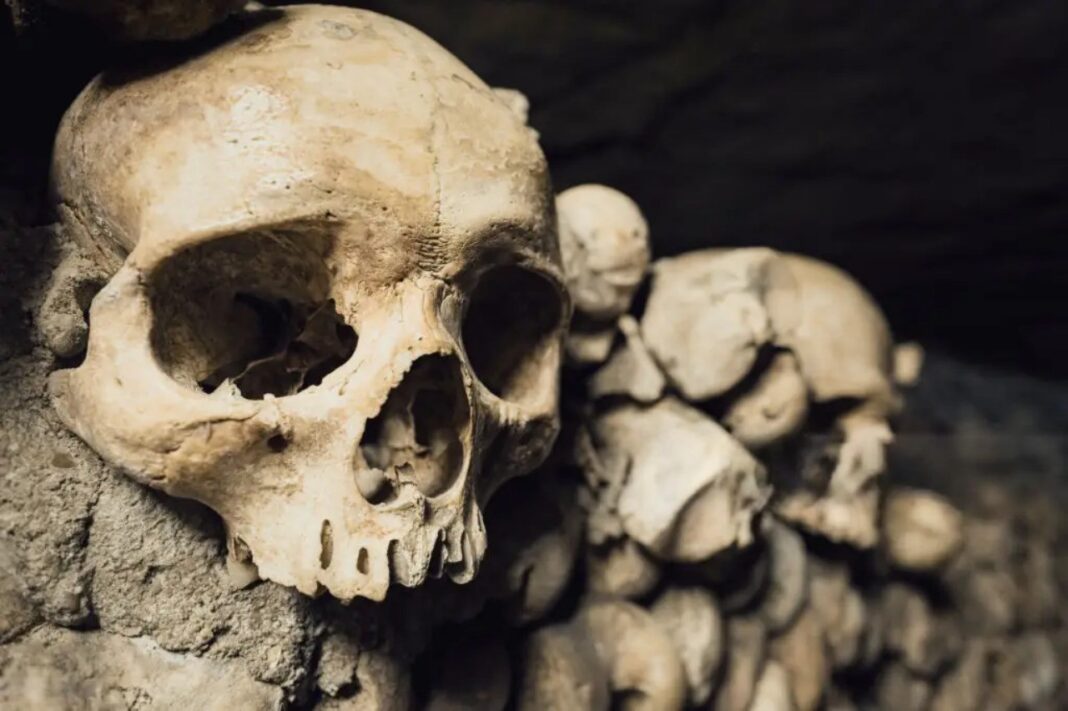 Catacomb Tour Paris Catacomb Tour Paris